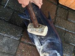 -全乐鱼馆·淳牌有机鱼直营店