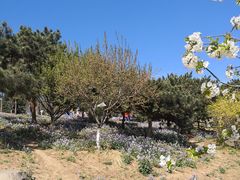 -北京西山国家森林公园