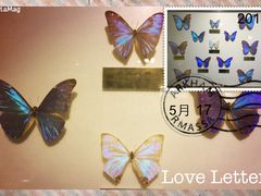 -上海昆虫博物馆