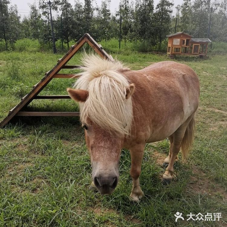 北京丰台你不能错过的带娃培养感情的好去处[胜利]