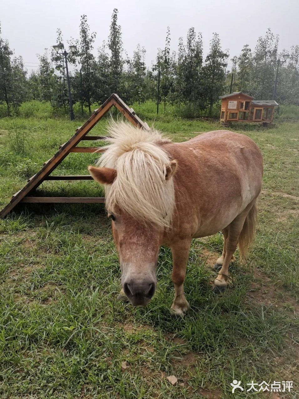 北京丰台你不能错过的带娃培养感情的好去处[胜利]
