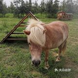 北京丰台你不能错过的带娃培养感情的好去处[胜利]