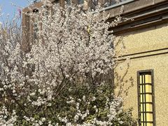 -悦隆庄温泉度假酒店