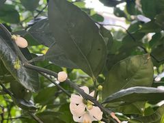 -广东花都湖国家湿地公园