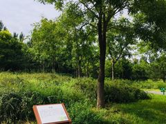 -东郊湿地公园
