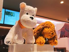 -霸王茶姬(上海浦东机场店)