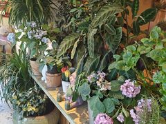 -萤火虫咖啡(后海店)