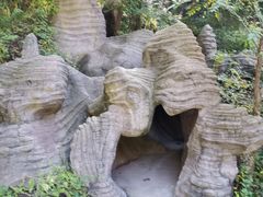 -黄龙山原始森林景区