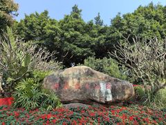 -白鹭洲公园
