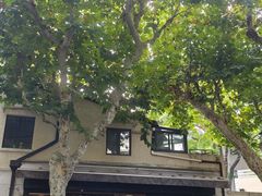 -RUMORS COFFEE ROASTERY鲁马滋咖啡(湖南路店)