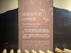 -汉景帝阳陵博物院