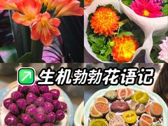 -花鸟鱼虫鲜花绿植市场(玉泉路店)
