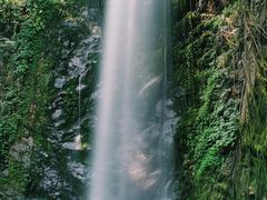 -莫里热带雨林景区