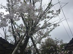 -许家山