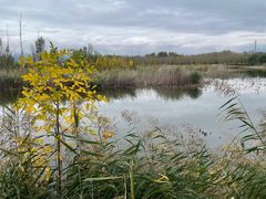 -野鸭湖国家湿地公园
