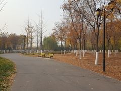 -永定河休闲森林公园