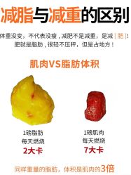 -Fundi张玉珊修身堂·indiba·BTL科技瘦身