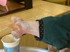 -喵匠猫主题咖啡(凯德和平广场店)
