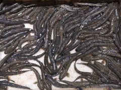 -健眺小海鲜(临海后山店)