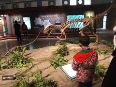 -自贡恐龙博物馆