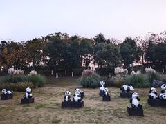 -桂溪生态公园