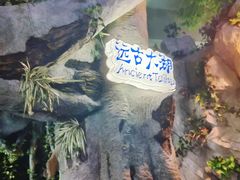 -苏州海洋馆