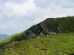 -灵山