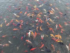 -兰陵国家农业公园