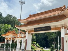 -深圳仙湖植物园