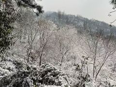 -波尔登森林公园
