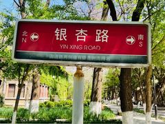-山东大学(趵突泉校区)