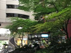 -上海波特曼丽思卡尔顿酒店