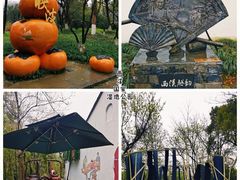 -西溪国家湿地公园