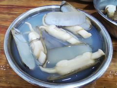 -广达眼镜炖罐(广达店)