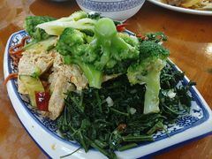 素拼-春发芽葫芦头(科技二路旗舰店)