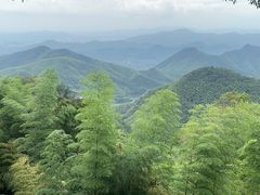 -莫干山风景区