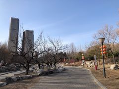 -大望京公园