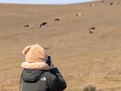 -莫日格勒旅游景区