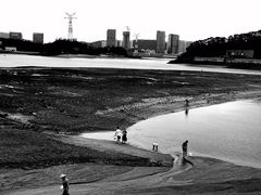 -海沧湾公园