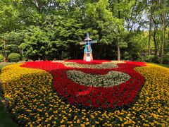 -上海共青森林公园