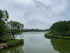 -大兴滨河森林公园