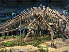 -自贡恐龙博物馆