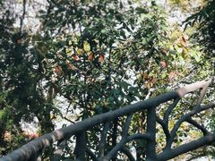 -幕燕滨江·燕子矶公园