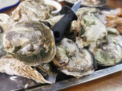 -蚝得喜海鲜(东城店)