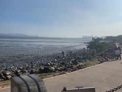-深圳湾公园(南山区)