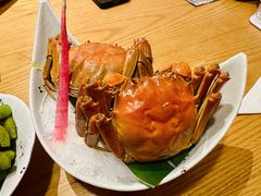 花雕大闸蟹-九酢·海鲜居酒屋