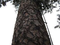 景点-承德避暑山庄景区