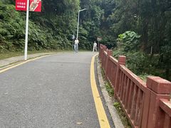 -黄埔油麻山森林公园