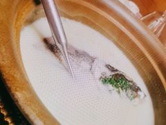 -海江5号