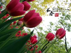 -长春公园(普阳街道)